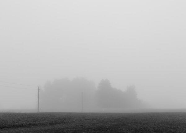 A misty field captured in a black and white photograph