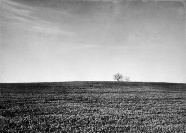 A black and white image of a solitary tree in a vast, open field