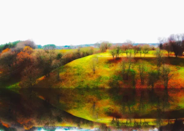 Drone photo of trees mirrored in a serene lake